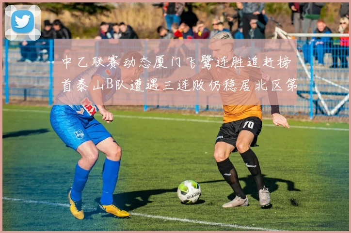 中乙联赛动态厦门飞鹭连胜追赶榜首泰山B队遭遇三连败仍稳居北区第三